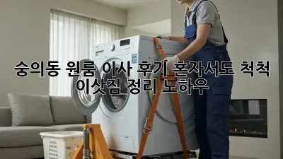 숭의동 원룸 이사 후기: 혼자서도 척척! 이삿짐 정리 노하우